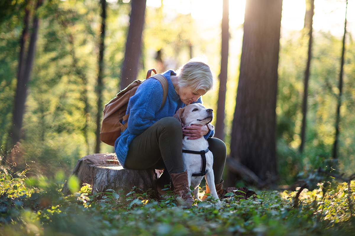 A happy senior woman with dog on a walk outdoors in forest, resting.