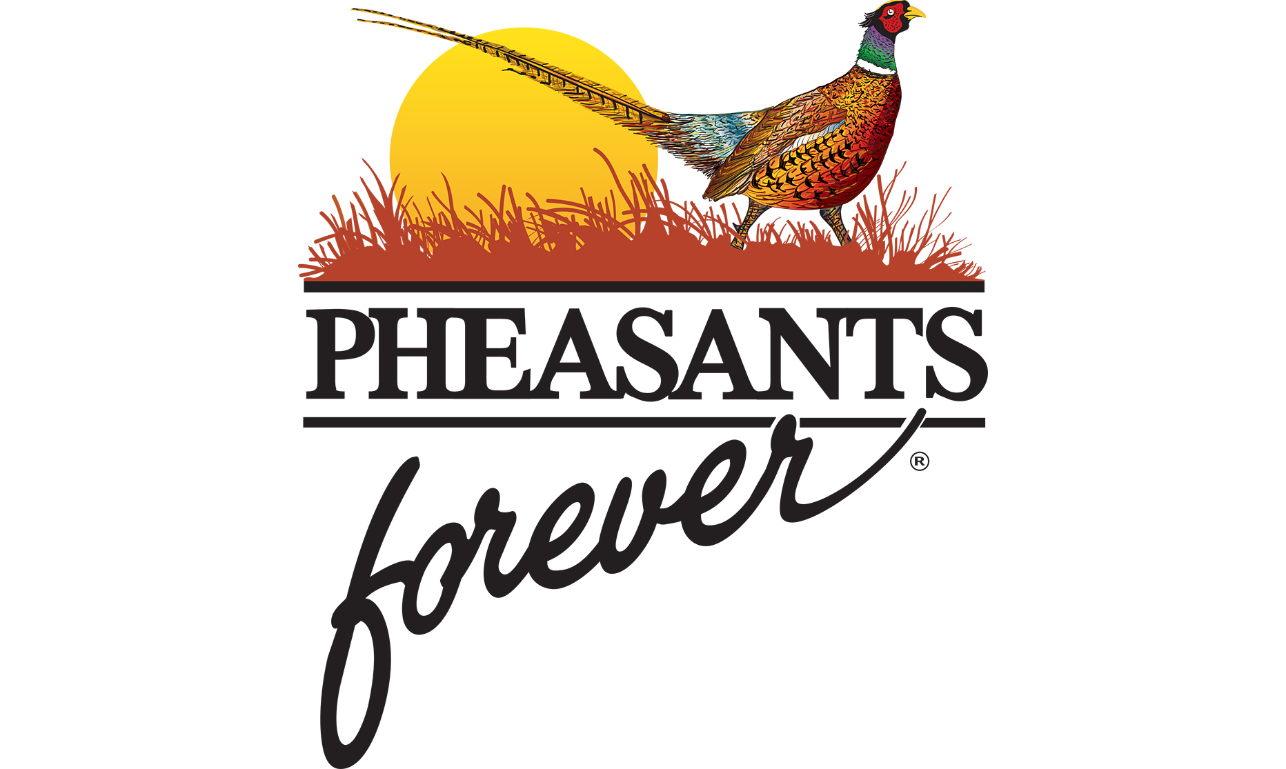 PF_NoSilo_Vector.pdf